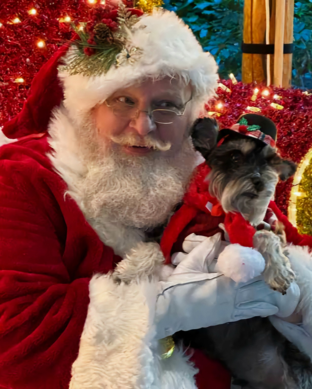Santa Bruce holding a small dog dressed for Christmas
